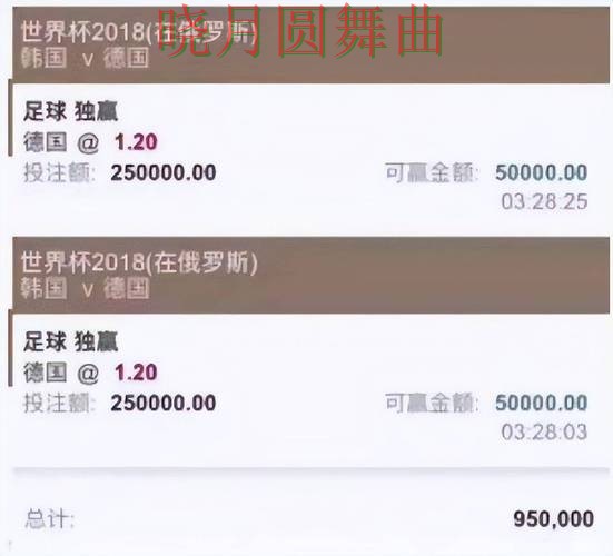世界杯投注平台半决赛赛前数据怎么看